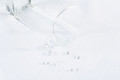 AQUA STOP CLASSIC - детский непромокаемый наматрасник 60x120 ТМ ИДЕЯ (8-05245) (фото 4 из 11)