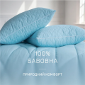 Ковдра демісезонна антиаллергенна ECO-SOFT VALENTINO № 830 - ТМ MIRSON (Україна) (світлина 3 з 8)