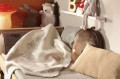 LOVELY & SWEET FOXY&FRIENDS - плед детский 75х100 ТМ BIEDERLACK (822055) (фото 3 из 3)
