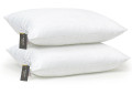 Набор антиаллергенных подушек 50х70 С ЭВКАЛИПТОМ №1621 ECO LIGHT WHITE (СРЕДНИЕ) (2200002652438) - TM MIRSON (фото 2 из 6)
