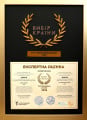 Подушка антиалергенна ТHINSULATE ROYAL HAND MADE 916 (СЕРЕДНЯ) - TM MIRSON (світлина 10 з 10)