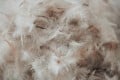Подушка пуховая EXTRA 50% пух / 50% перо №112 (НИЗКАЯ) - TM MIRSON (фото 3 из 9)