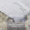 Ковдра зимова пухова касетна RAFFAELLO 052 - ТМ MIRSON (Україна) (світлина 3 з 11)