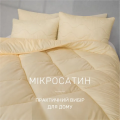 Набор антиаллергенный 3M ТМ THINSULATE ТМ Всесезонный №1665 ECO LIGHT CREM (одеяло + подушка 50х70 средняя) - ТМ MIRSON (Украина) (фото 5 из 6)