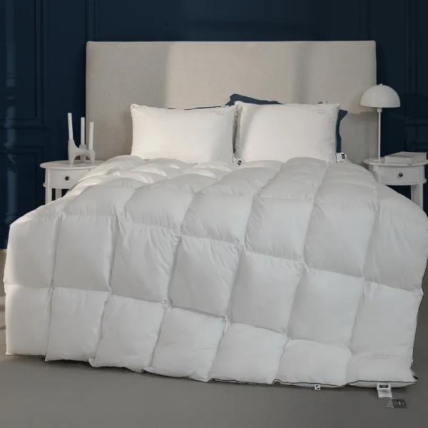 Одеяло зимнее антиаллергенное ECOSILK LUXURY EXCLUSIVE 1317 - ТМ MIRSON (Украина)
