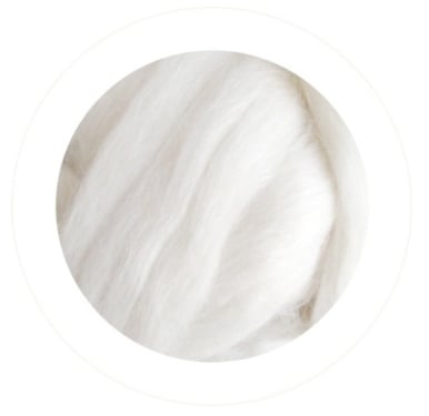 EcoSilk