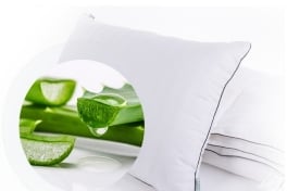 aloe
