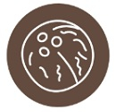Кокос Кокос