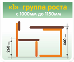 1 группа роста